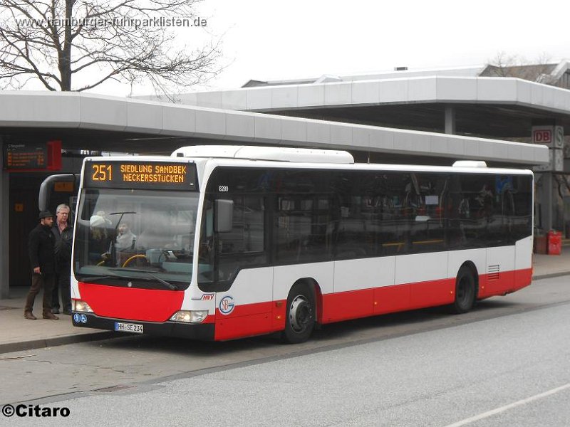 14) 8289-52,SBG,CO.jpg